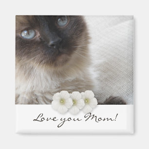 Der Kitty des blauen Auges, Liebe Sie Mama! Magnet