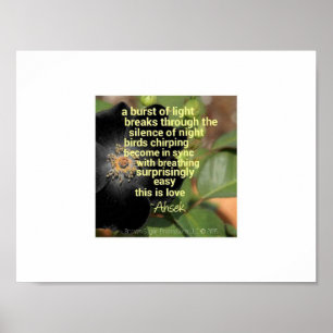 Der Klang des Morgengedichts von Ahsek Novel Poster