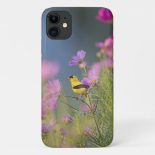 Der kleine Gelbbvogel in den Blume Case-Mate iPhone Hülle