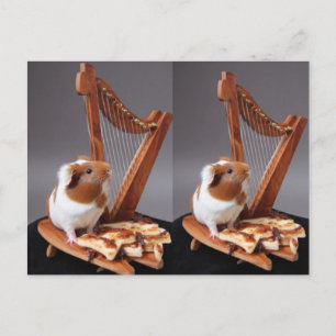 Der kleine Harfenspieler – Whimsical Meerschweinch Postkarte