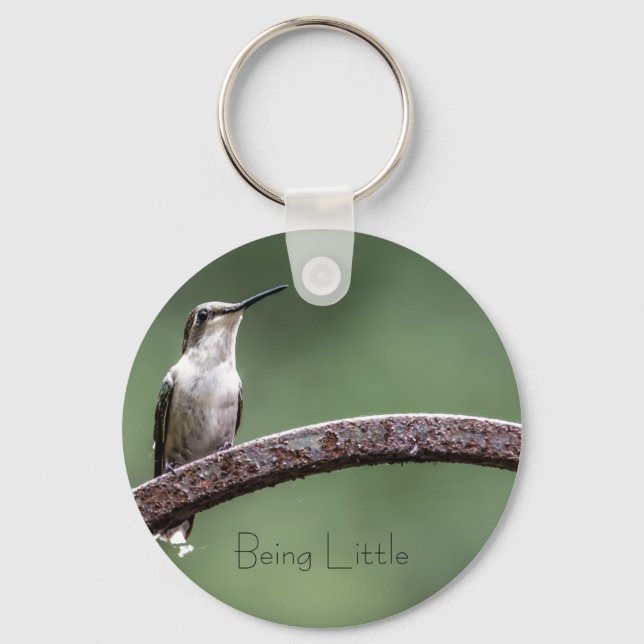Der kleine Hummingbird Button-Schlüsselanhänger Schlüsselanhänger (Vorderseite)