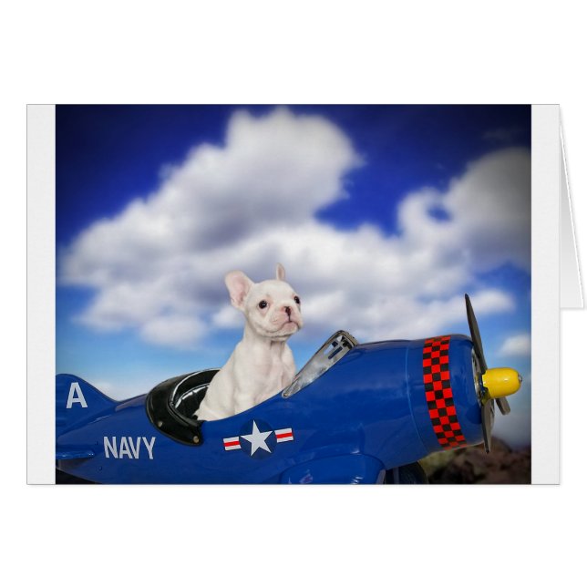 Der kleine Pilot (Vorderseite (Horizontal))