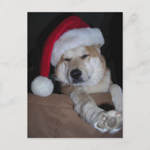 Der kleine schiitische Helfer des Weihnachtsmanns Feiertagspostkarte