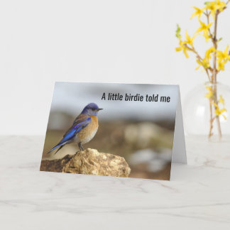 Der kleine Vogel sagte mir, sei vorsichtig, was du Karte