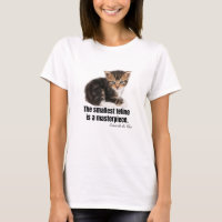 Der kleinste Feline ist ein Meisterwerk.