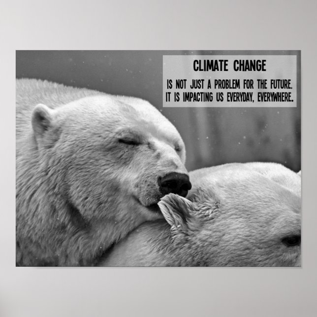 Der Klimawandel in Schwarz und Weiß mit Eisbären Poster (Vorne)