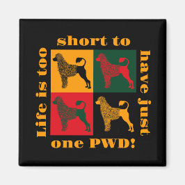 Der kluge portugiesische Wasserhund Magnet