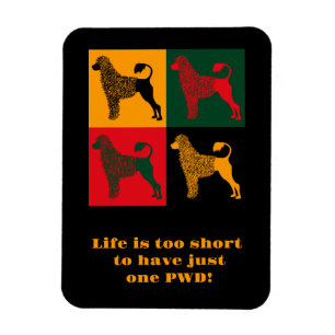 Der kluge portugiesische Wasserhund Magnet