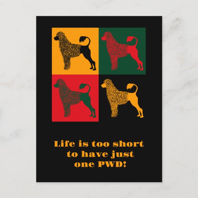 Der kluge portugiesische Wasserhund Postkarte (Vorderseite)