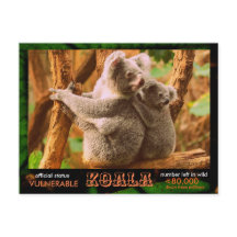 DER KOALA (Bär) ist gefährdet, lesen Sie: -