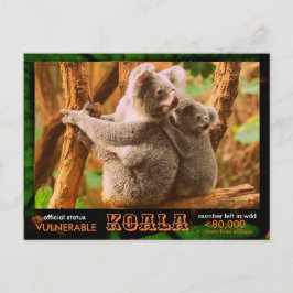 DER KOALA (Bär) ist gefährdet, lesen Sie:  - Postkarte