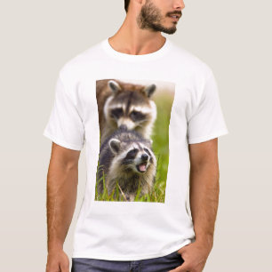 Der Kokon, der Procyon Lotor, ist ein weit verbrei T-Shirt