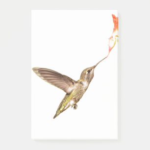 Der Kolibri und die Blume Post-it Klebezettel