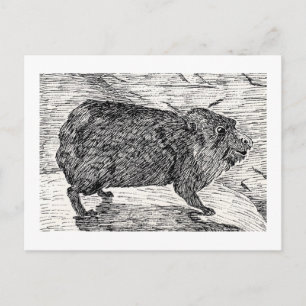 Der Konion oder syrischer Rock Hyrax Postkarte