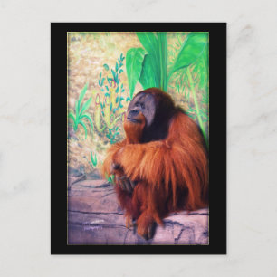 Der Kontemplater - Postkarte