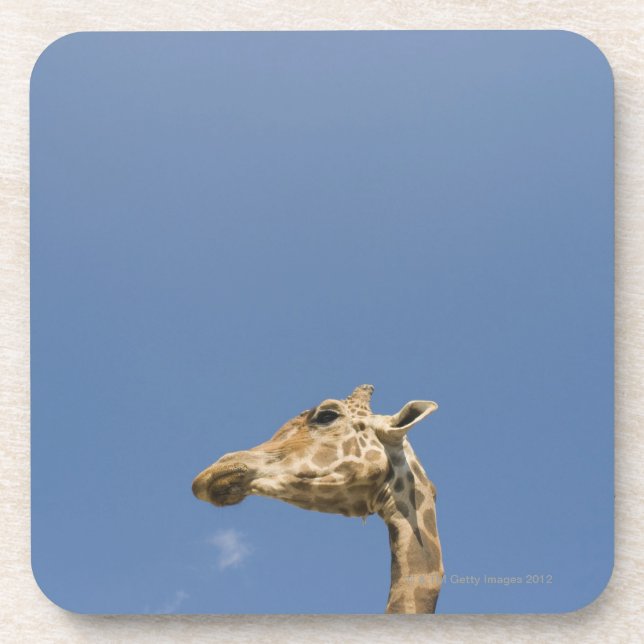Der Kopf der Giraffe Getränkeuntersetzer (Vorderseite)