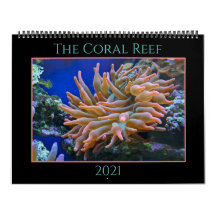Der Korallenriff-Kalender