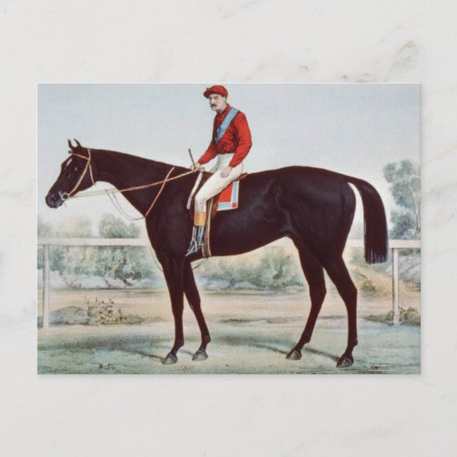 Der Kreis der Spitzensieger Postkarte (Vorderseite)