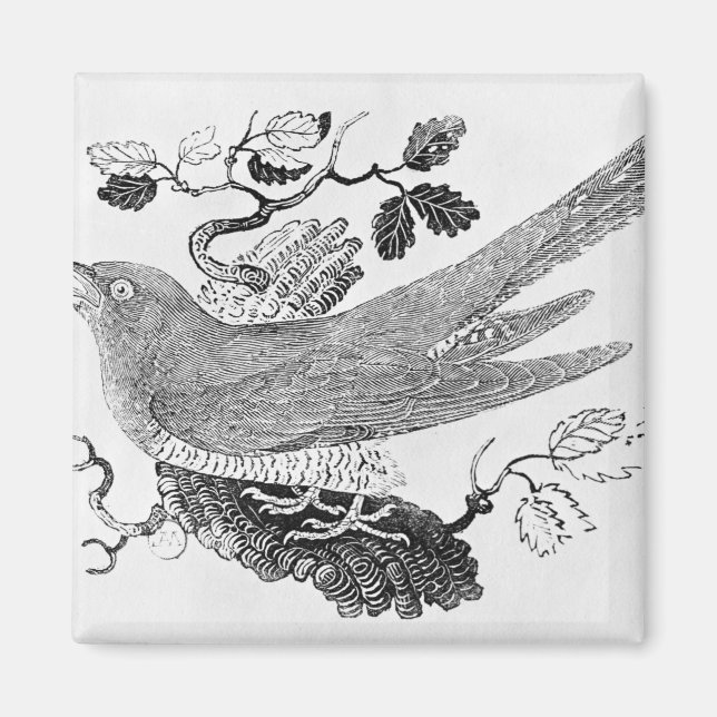 Der Kuckuck Magnet (Vorne)