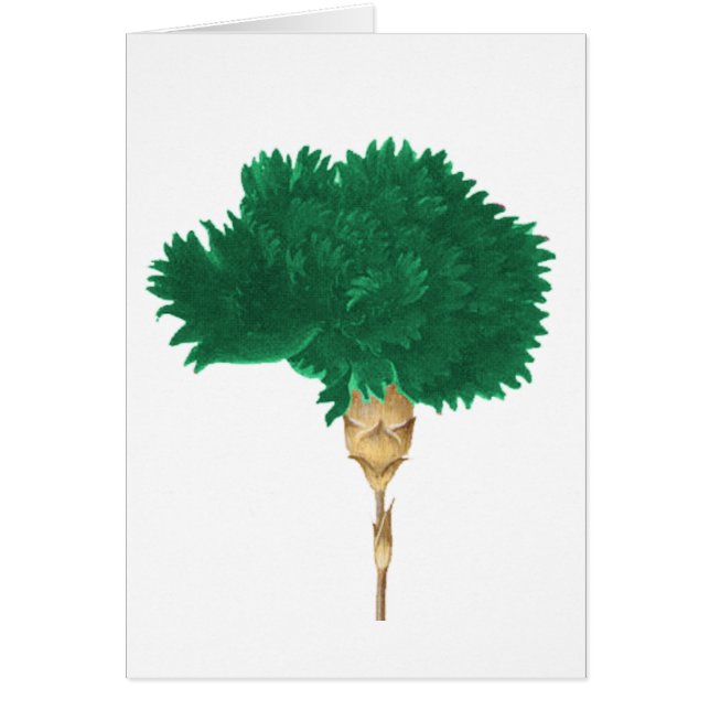 Der Kult von Wilde (Vorne)