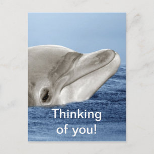 Der lächelnde Delphin Postkarte