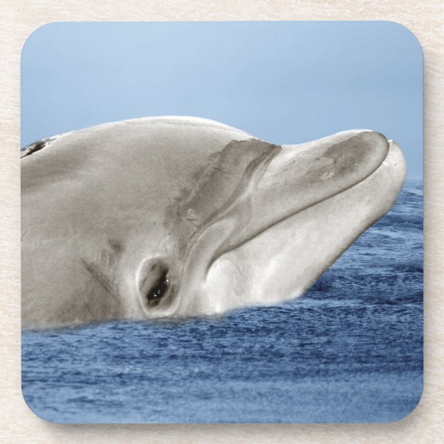 Der lächelnde Delphin Untersetzer (Vorderseite)