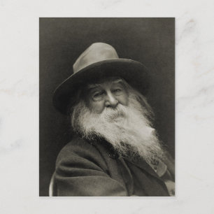 Der lachende Philosoph, Dichter Walt Whitman Postkarte