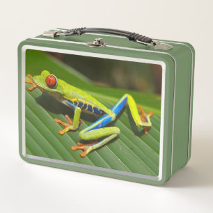 Der lange Frosch Metall Brotdose