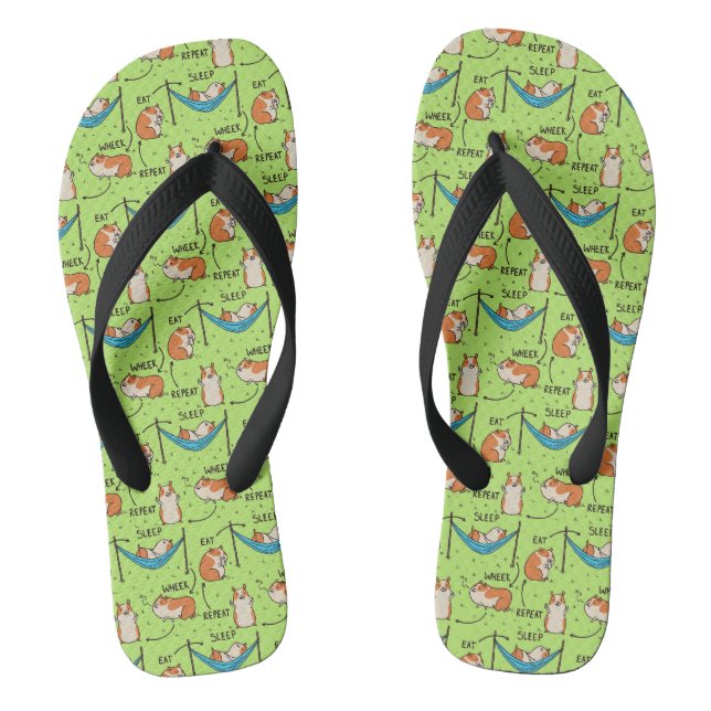 Der Lebenszyklus eines Guinea Pig Flip Flops (Fußbett)