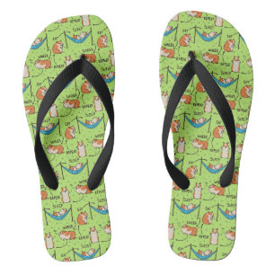 Der Lebenszyklus eines Meerschweinchens Flip Flops