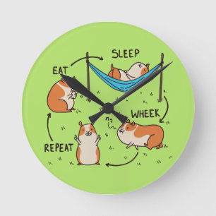 Der Lebenszyklus eines Meerschweinchens Runde Wanduhr
