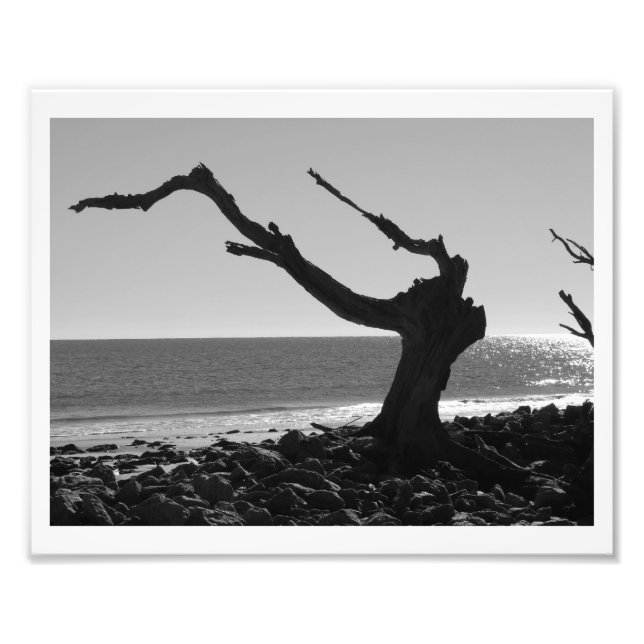 Der Leiter Fotodruck (Vorne)