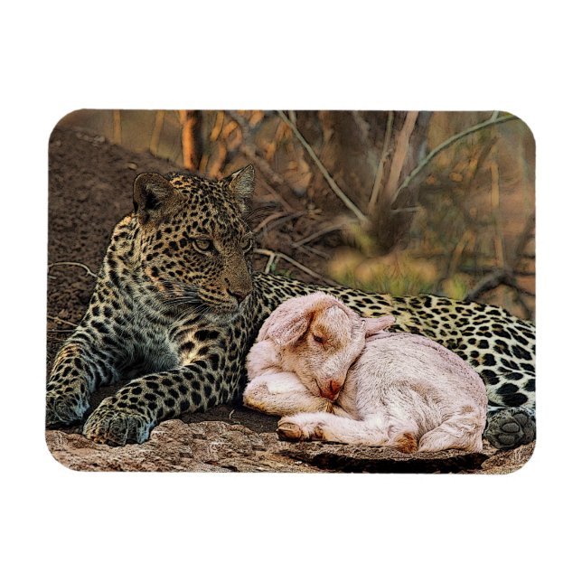 Der Leopard legt sich mit dem Lamm-Isaiah 11 Magnet (Horizontal)