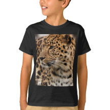 Der Leopard