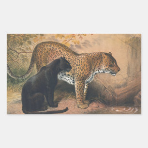 Der Leopard von Joseph Wolf Rechteckiger Aufkleber