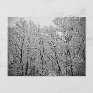 Der letzte Atemzug des Winters Postkarte