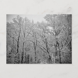 Der letzte Atemzug des Winters Postkarte