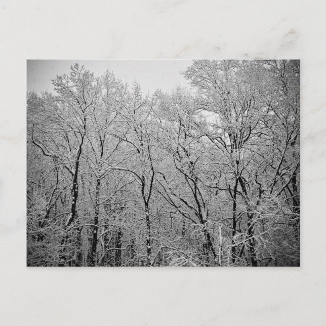 Der letzte Atemzug des Winters Postkarte (Vorderseite)