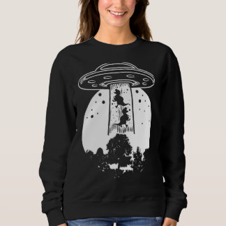 Der letzte Dinosaurier der Erde 3 Sweatshirt