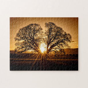Der letzte Sonnenuntergang - 11x14 - 252 Stk.