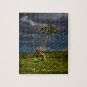 Der letzte Überlebende