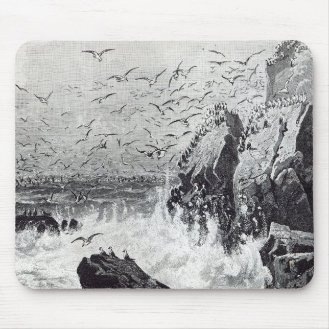 Der Lieblingsplatz der Möven Mousepad (Vorne)