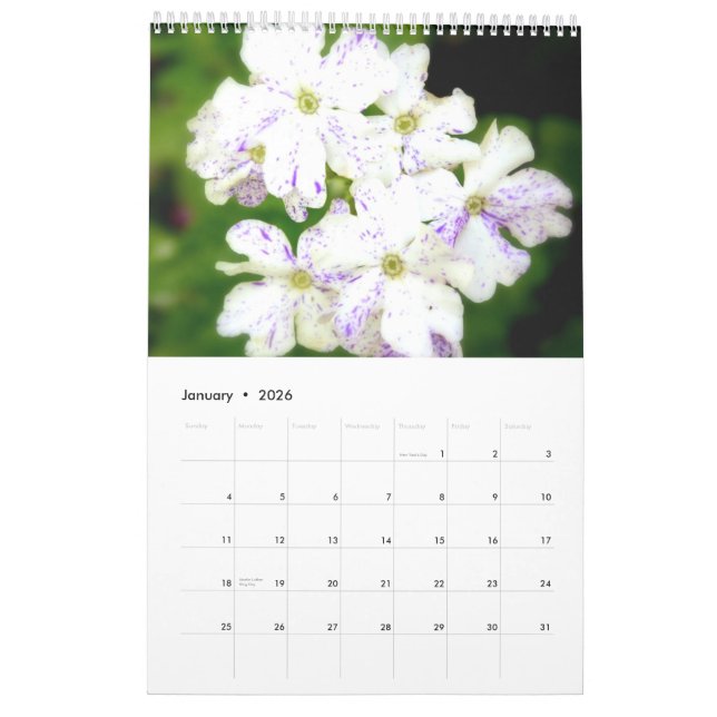 Der lila Garten 2013 Kalender (Jan 2026)