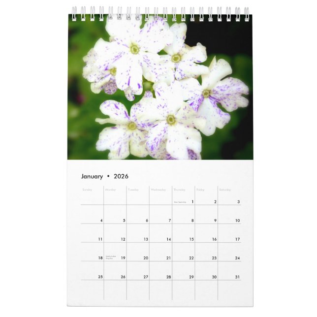 Der lila Garten 2015 Kalender (Jan 2026)