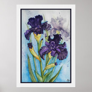 Der Lila Iris des Frühlings Poster