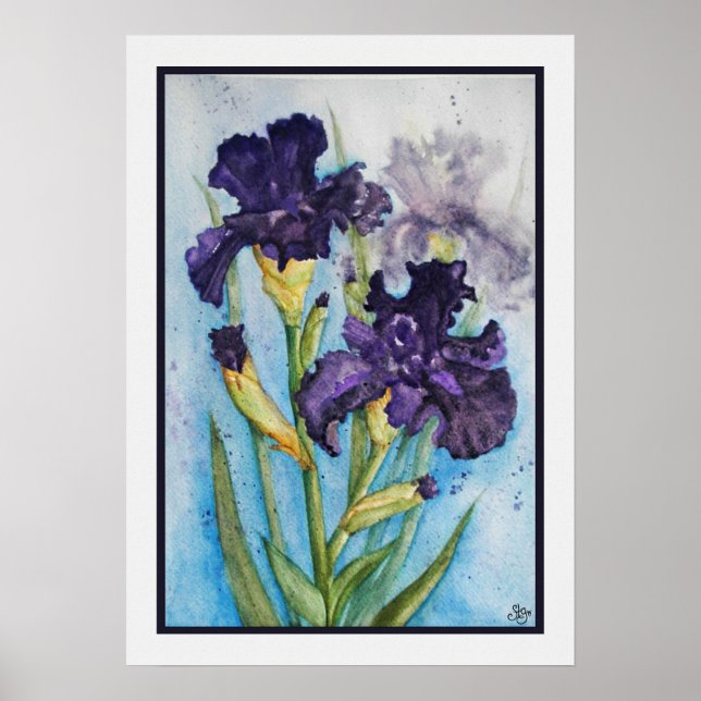 Der Lila Iris des Frühlings Poster (Vorne)