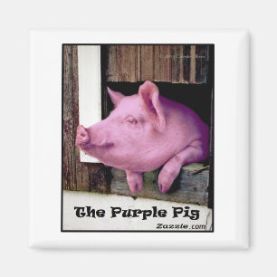 Der Lila Schweinemagnet Magnet