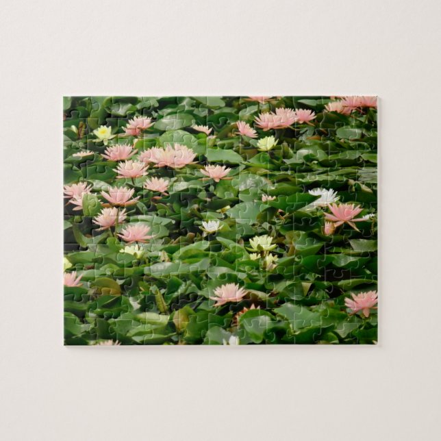 Der Lilienteich (Horizontal)