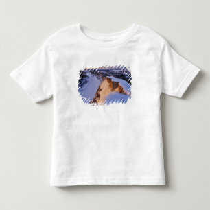 Der Little Missouri River im Winter in Kleinkind T-shirt