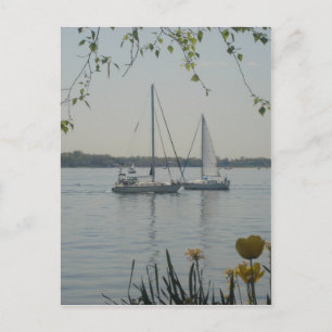 Der Long-Island-Sund Postkarte